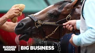 How The Fastest Horse In The Kentucky Derby® Was Bred And Raised To Win | Big Business