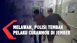 Melawan, Polisi Tembak Pelaku Curanmor di Jember