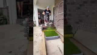 Toilet Paper  Porch Lawn