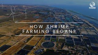 RYNAN Aquaculture webisode 1: How Shrimp Farming Began?