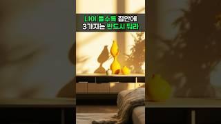 나이 들수록 집안에 3가지는 반드시 둬라 #풍수 #풍수인테리어 #풍수지리 #금전운 #재물운