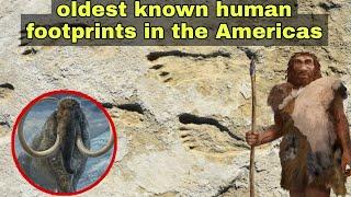 Archaeologists find oldest known Human Footprints in the Americas