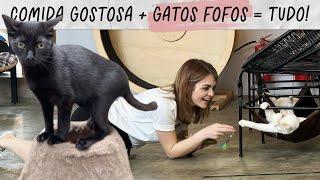 VLOG: VISITAMOS UM CAFÉ COM GATINHOS EM SÃO PAULO • Karol Pinheiro e Maqui Nóbrega