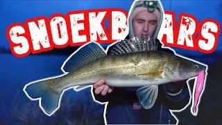 Vissen op snoekbaars met onze favoriete DROPSHOT SHAD!