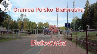 Pojechałem na Granicę Polski z Białorusią przez Białowieżę