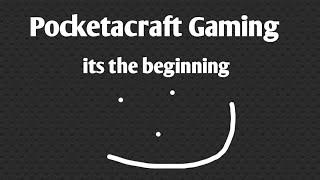 Pocketcraft gaming||it's just the beginning 