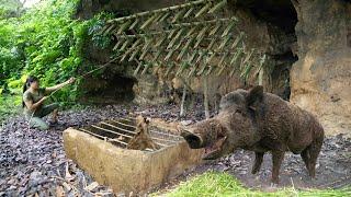 10 Days to Build a Wooden Cabin Shelter - Running out of Food, Hunting Giant Wild Boar