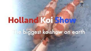 Holland Koi Show (HKS) The Biggest Koi Show on Earth - 2019 edition