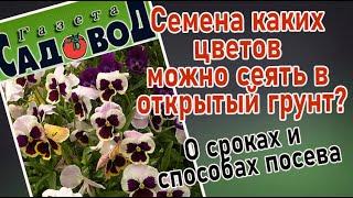 Семена каких цветов можно сеять в открытый грунт? О сроках и способах посева