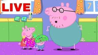  LIVE | Peppa Pig | 24 hours | Non Stop Cartoons   |