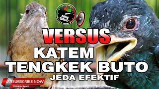 #1 KOMPILASI MASTERAN JUARA KAPAS TEMBAK VERSUS TENGKEK BUTO JEDA EFEKTIF !! VIDEO HD AUDIO JERNIH