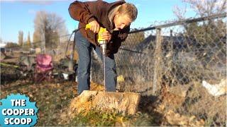 Most Amazing Way To Remove A Tree Stump??