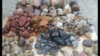 Rockhounding glacial till, fossils, jasper, agate, chert, pyrite #8