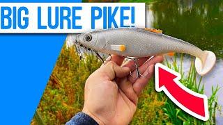 Autumn Pike Fishing with BIG Lures!