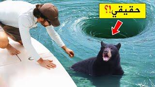 حيوانات طلبت المساعدة من البشرردة فعل الحيوانات مذهلة