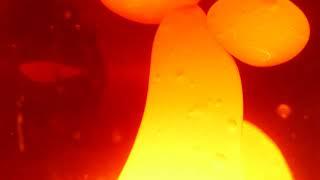 Lava Lamp 4k Yellow Orange Liquid 3 Hours of Relaxing Long Video