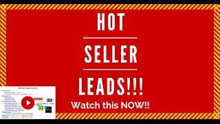 Michael Hellickson and Mike Bjorkman share over 31 No Low Cost Lead Sources and Strategies