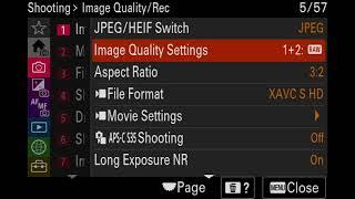 Sony a7RV Landscape Settings