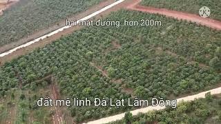 đất mê linh Đà Lạt Lâm Đồng. dt 11321m2. giá 17ty thương lượng nhẹ.