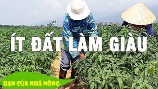 Ít đất vẫn có thể làm giàu - Môt hình thâm canh đáng để học hỏi