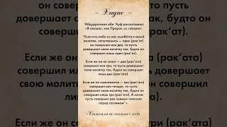 Запутался в количестве ракаатов? Решение в сунне!