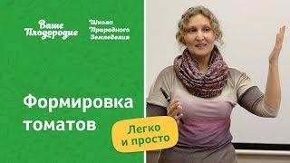 Формировка томатов — легко и просто