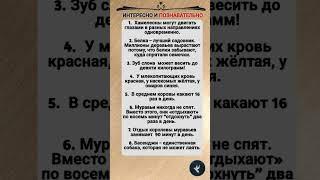 Интересно и Познавательно  #shorts