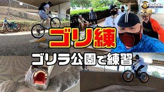 【ゴリ練】ゴリラ公園で30年ぶりの友人と一緒にパンプトラックやジャンプの練習をしました！