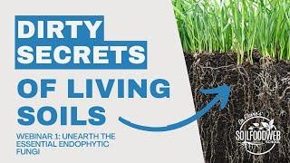 Unearth the Essential Endophytic Fungi | Dirty Secrets of Living Soils