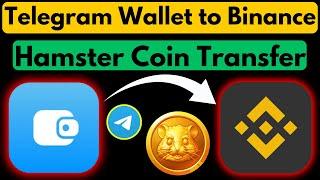 Hamster Withdrawal Telegram Wallet to Binance | Send Hamster Kombat from Telegram Wallet to Binance