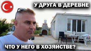 У ДРУГА В ДЕРЕВНЕ В ПРИГОРОДЕ АНТАЛИИ. Что у него в хозяйстве? Как растут арбузы #влог Турция