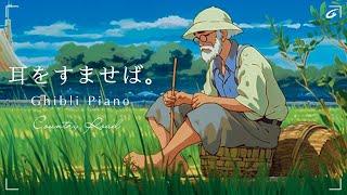 Ghibli Chill Studying, coffee, reading, healing  Ghibli Music