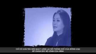 Live Concert Khánh Ly  - Trung tâm Hội nghị Quốc gia
