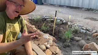 Plant the rain—don't drain it—to end the drought with passive water harvesting by Brad Lancaster