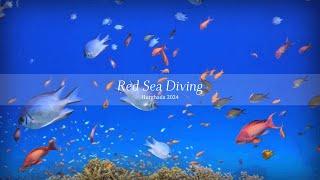 Diving Hurghada - Red Sea 2024