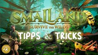 Smalland Survive the Wilds - Tipps & Tricks Tutorial Guide Deutsch