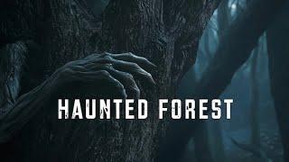 Dark Ambient Music | Hoia Baciu - The World's most Haunted Forest