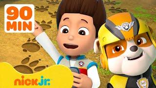 Patrulha Canina Encontra Tudo o Que Está Perdido! com Rubble | 90 Minutos | Nick Jr. em Português