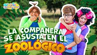 La Compañera y Meme se portan mal en el ZOOLÓGICO | Meme asusta a la Compañera | La Compañera llora