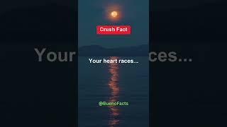 Heart Races with Crush | Crush Fact | Bueno Daily Facts