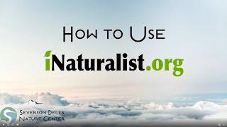 iNaturalist Web Tutorial