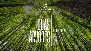 DUAS ÁRVORES - JONAS MADUREIRA