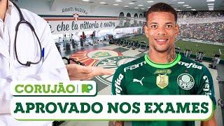 CAIO PAULISTA APROVADO NOS EXAMES | MERCADO DA BOLA NO PALMEIRAS  CORUJÃO NP 