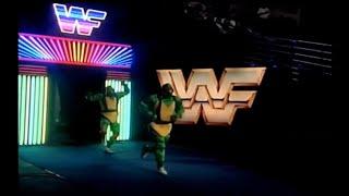 "The Toxic Turtles" (WWF 1993)