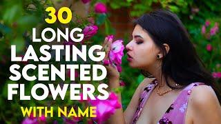 Top 30 Long Lasting Scented Flower Plants in India | Best Perennials for Lasting Fragrance Flower