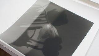 Darkroom Printing