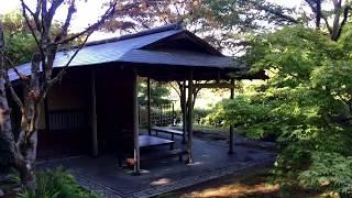 Japanese Garden, Seattle, WA USA