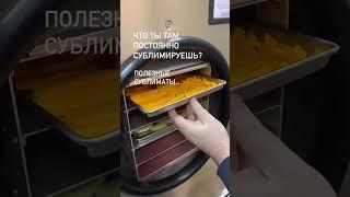 Сублимация продуктов как бизнес. Полезные сублиматы #shortvideo  #freezedry #идеядлябизнеса #бизнес