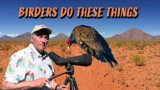 Birding vs Birdwatching: Here Are The Clues