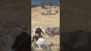 RDR2 - Killing a Bison with Tomahawks